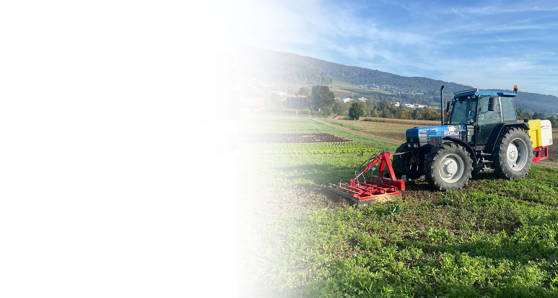 Flächen-Unkrautbekämpfung mit Heissdampf – ökologisch & effizient | Häfliger Schweiz
