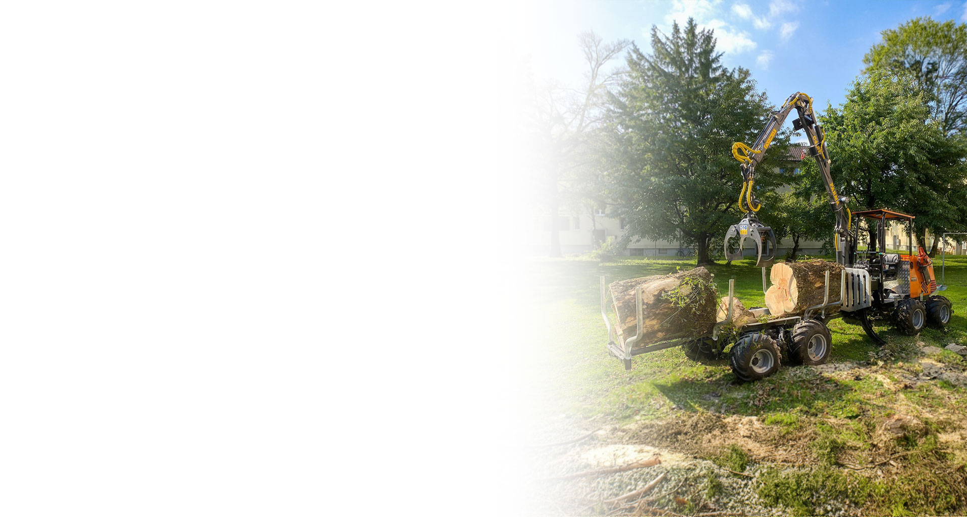 Gartenbau & Gartenpflege Schweiz – Hecken, Rasen & Neubepflanzung | Häfliger